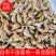 湖北仙桃菱角基地直销(市场:商超:电商平台)支持视频看货