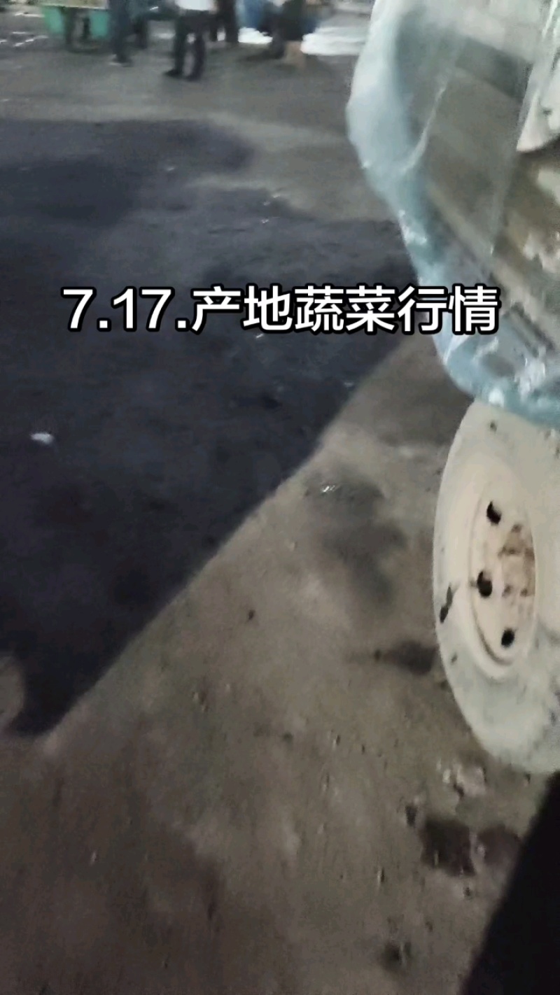 精品硬粉西红柿山东聊城，价位便宜大量共应