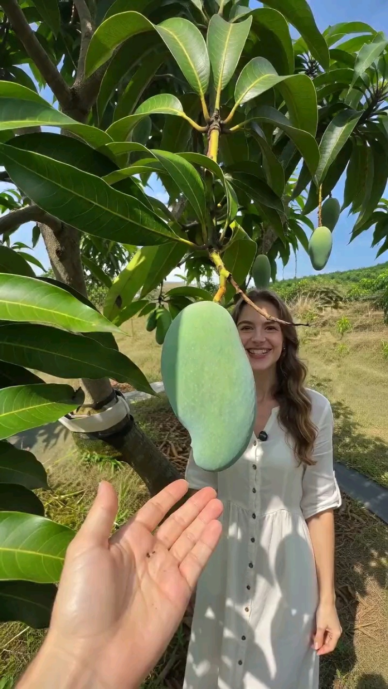 桂七芒，欢迎电商对接