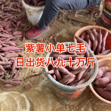 紫罗兰红薯，各种规格，万亩基地，承接各大平台市场电商