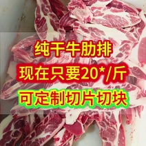 牛肋排餐饮专用，满肉，肥瘦均匀，雪花膘，吃起来口感好！