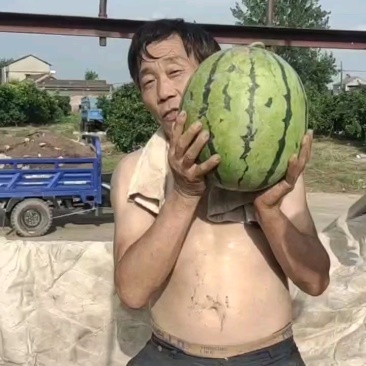 湖北美都麒麟瓜黑皮无籽瓜水分多汁，产地大量供应，视频发货