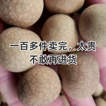 桂圆干颗颗饱满品质保证货源充足常年大量批发