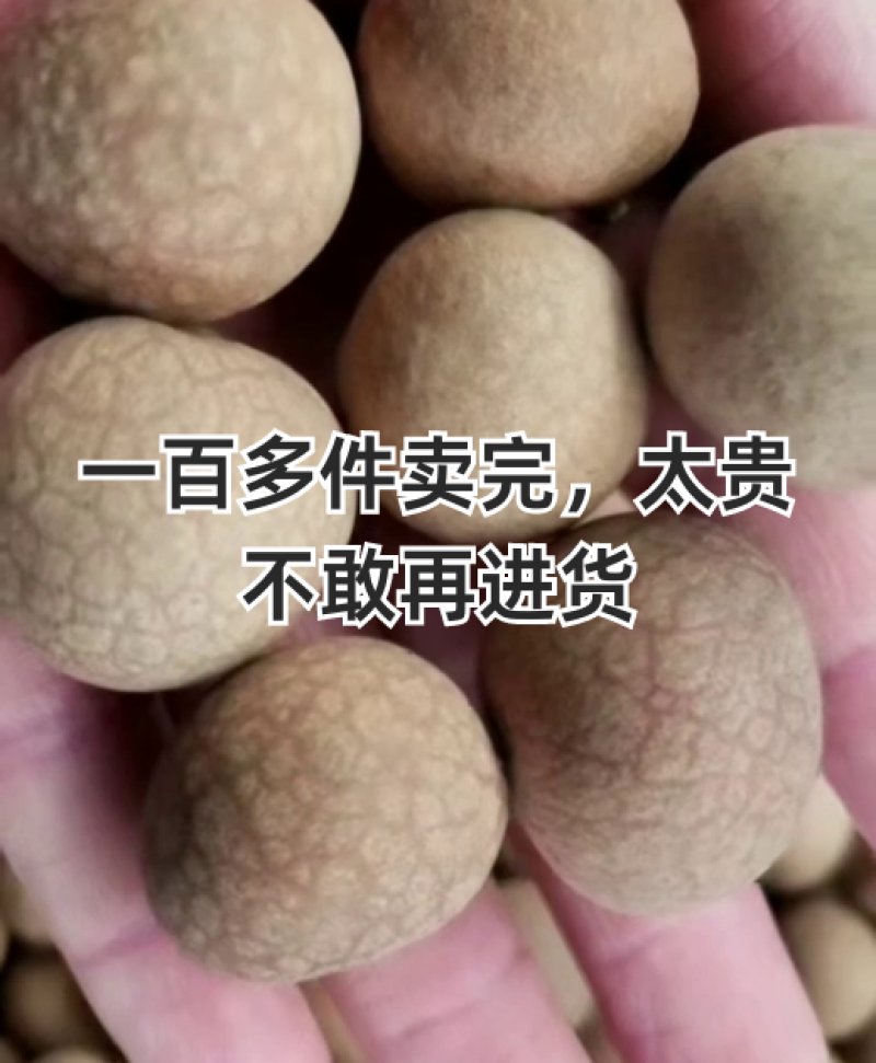 桂圆干颗颗饱满品质保证货源充足常年大量批发