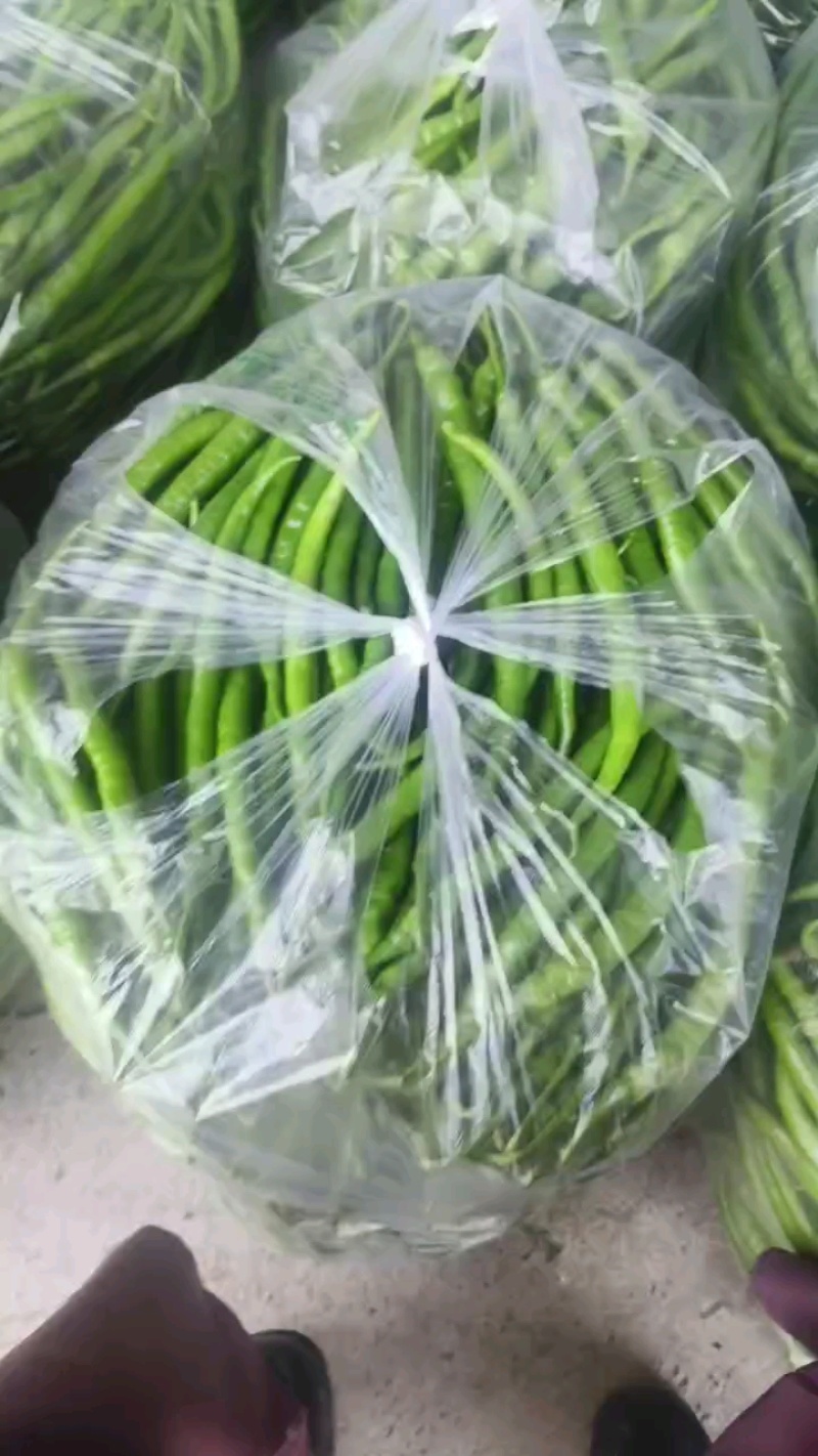 鲜辣椒甘肃二荆条辣椒产地一手货源，电联价格可谈，视频看货