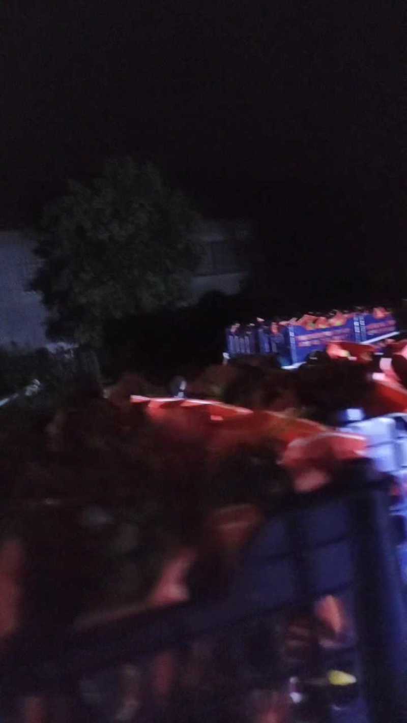 山东茉莉香葡萄产地现摘糖度十八以上，对接电商市场商超代发