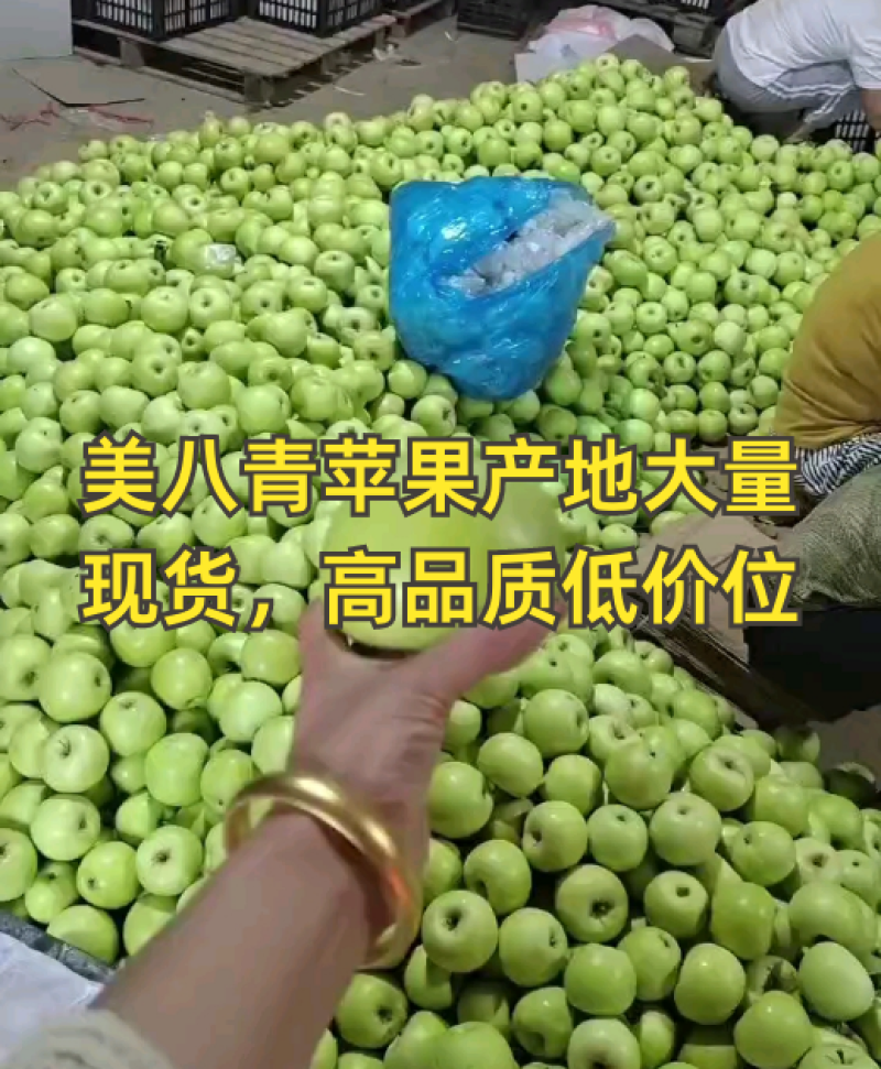 美八苹果80mm以上手选货产地一手货源质量杠杠滴