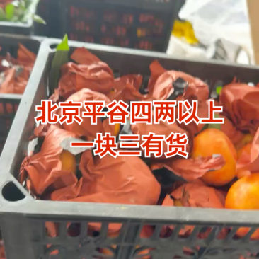 黄油蟠桃9号北京平谷油蟠桃产地直发货源稳定欢迎来电咨询