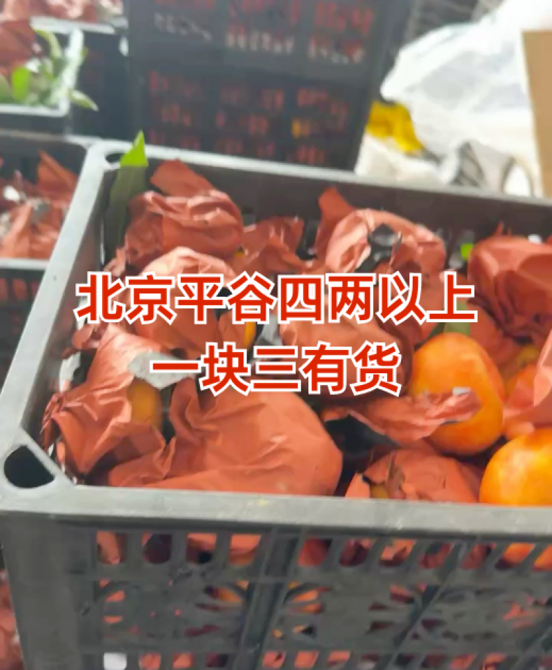 黄油蟠桃9号北京平谷油蟠桃产地直发货源稳定欢迎来电咨询