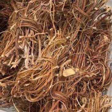 广东正宗野生五指毛桃根中药材煲汤泡水药食同源量大优惠新货