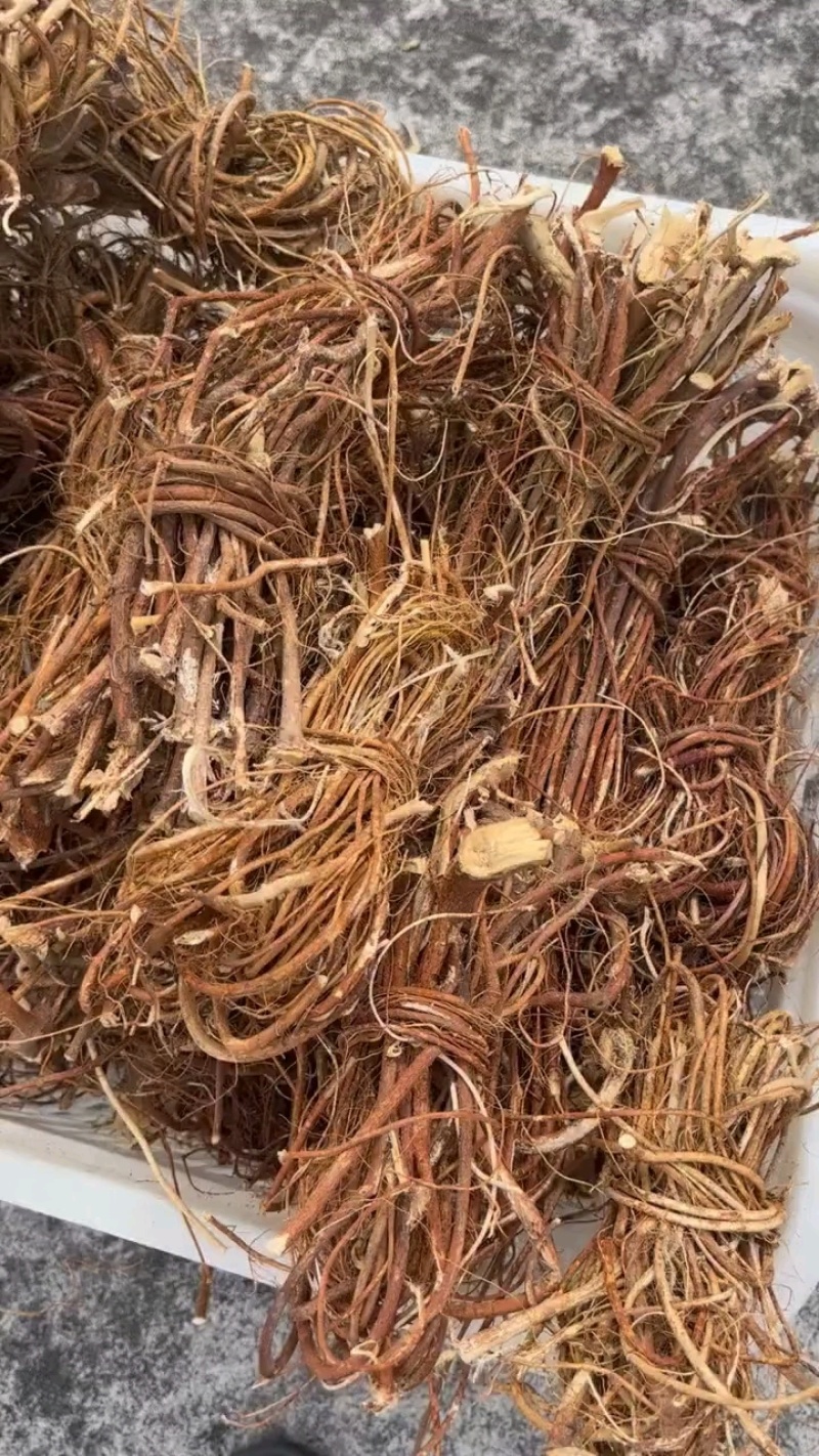 广东正宗野生五指毛桃根中药材煲汤泡水药食同源量大优惠新货