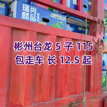 美嘟台农无籽，产地代发，