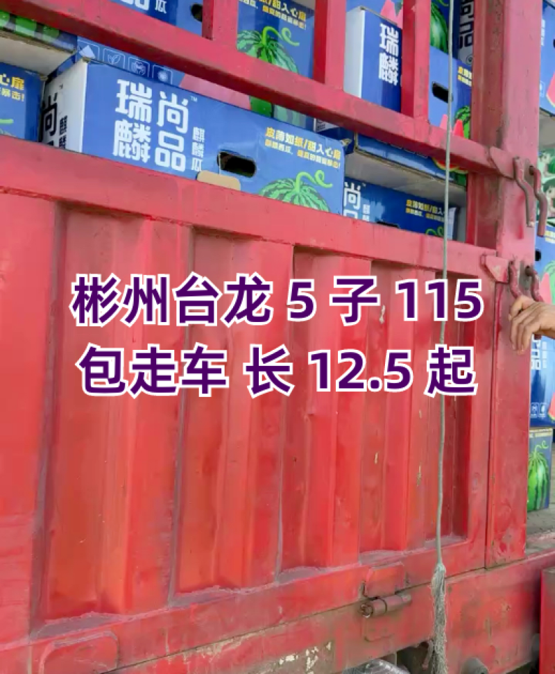 美嘟台农无籽，产地代发，
