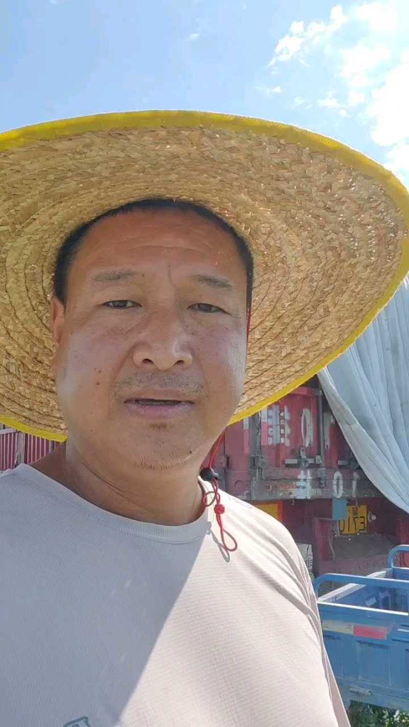 新疆昌吉精品甜王西瓜产地直发量大从优货源充足
