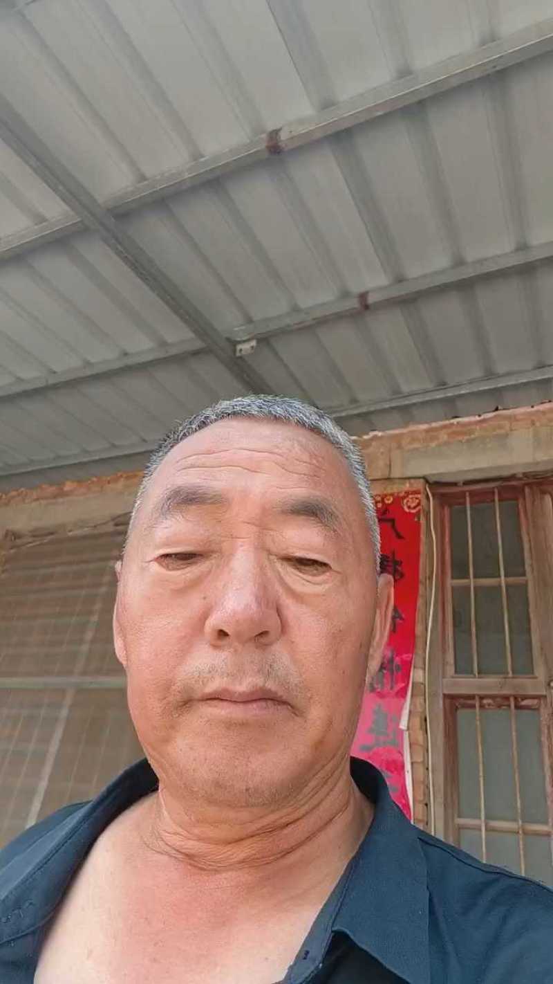 法国皇后芹菜苗