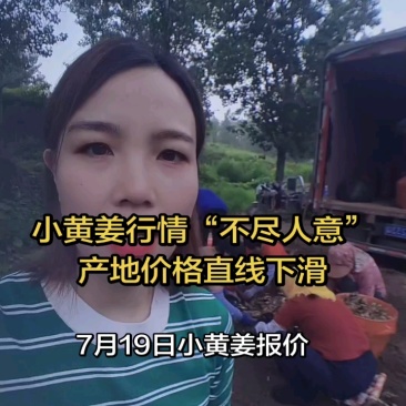 【小生姜】产地货源质量保证大姜小黄姜全国代发