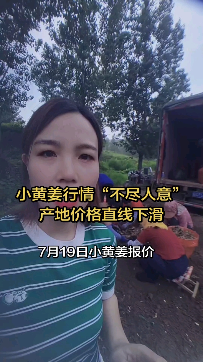 【小生姜】产地货源质量保证大姜小黄姜全国代发