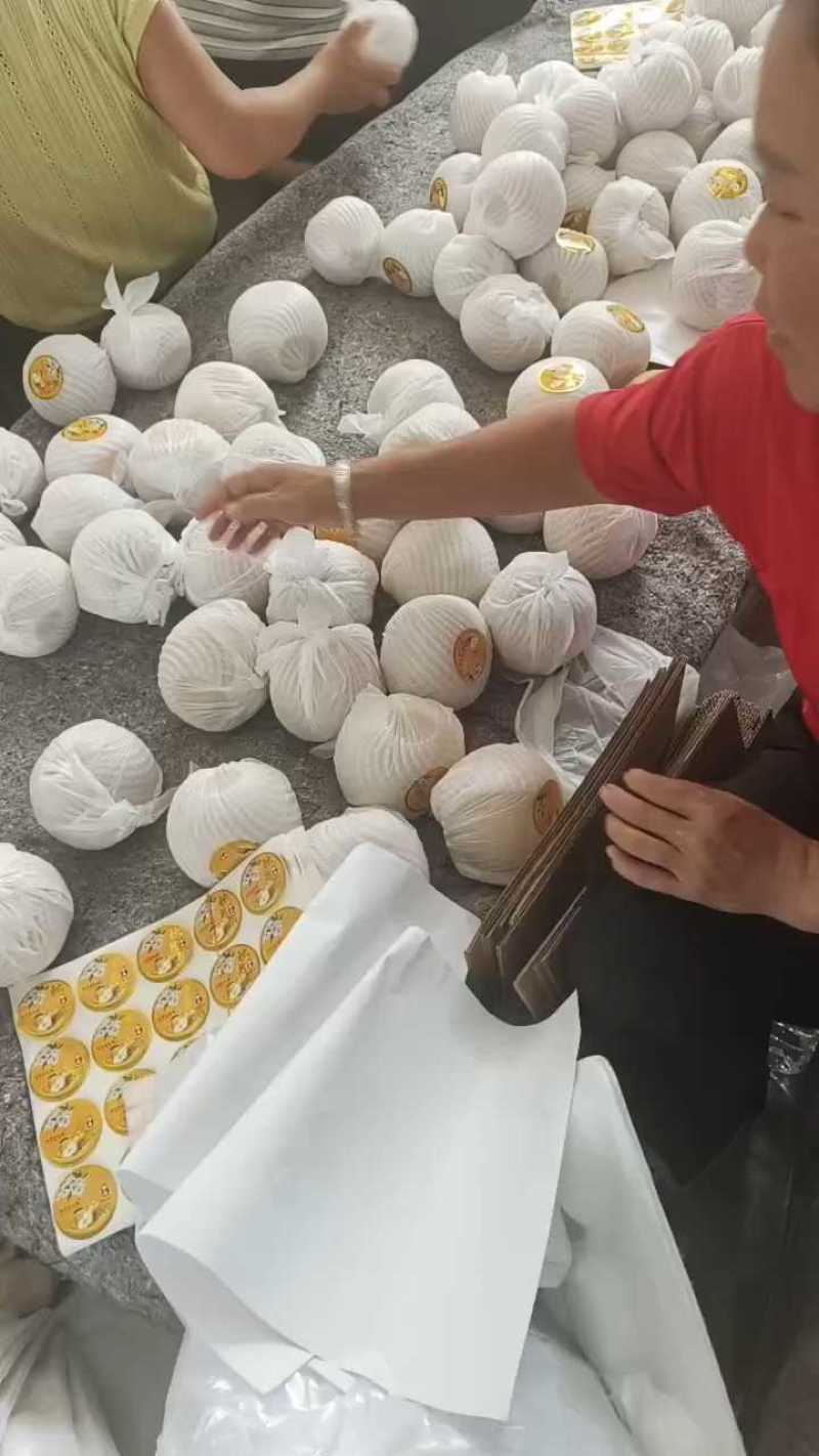 新玉梨，产地直发，品质保证，价格优惠，