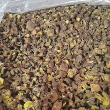各类菌菇大量现货