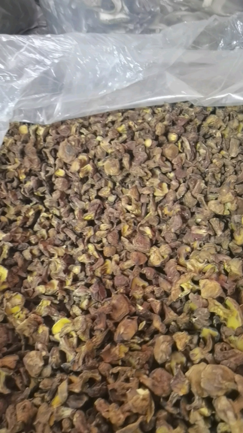 各类菌菇大量现货