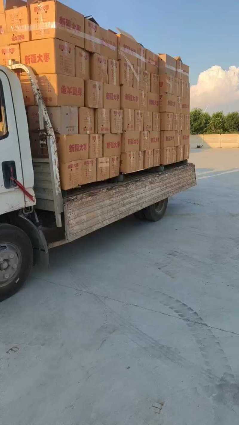 新疆灰枣批发对接全国市场电商供应均可对接欢迎联系