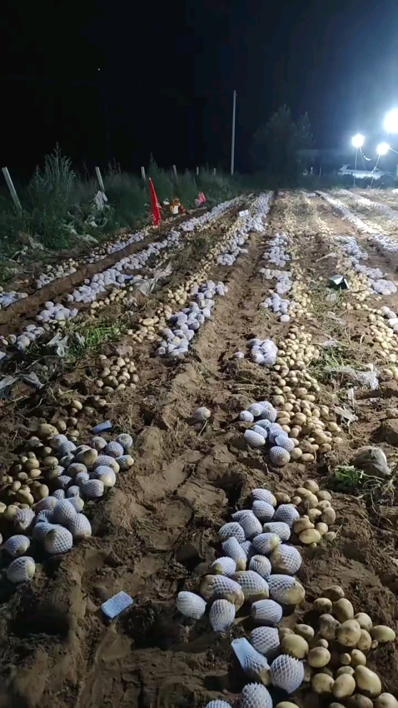 四两半中货，网套包装，质量多好