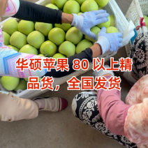 苹果80以上，精品货全国发货保质保量