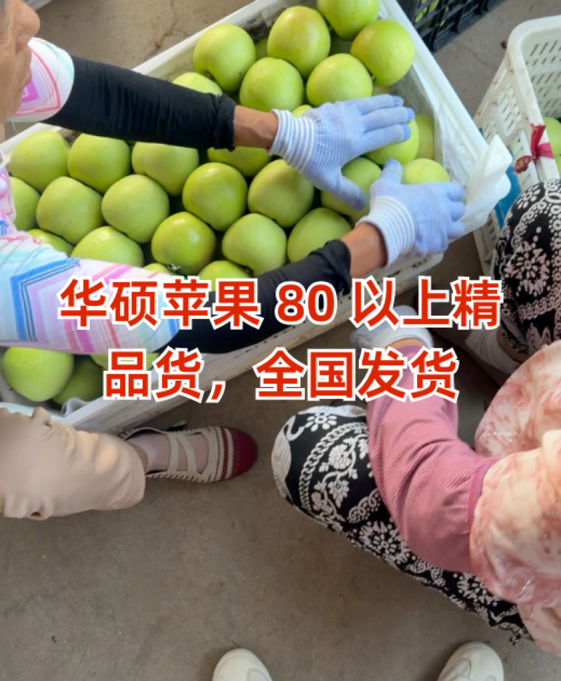 苹果80以上，精品货全国发货保质保量