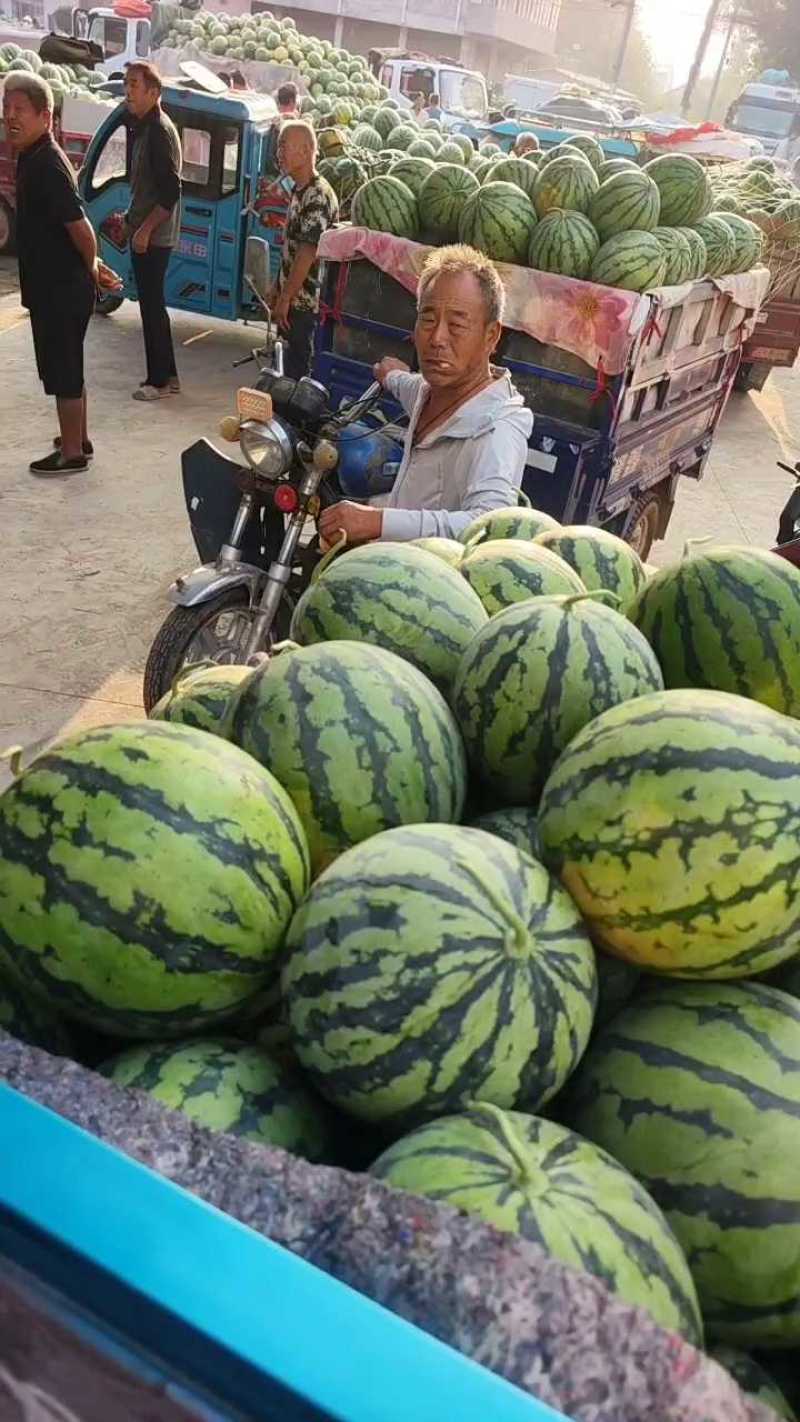 夏邑县精品美都西瓜，一手货源包熟包甜基地大量有货