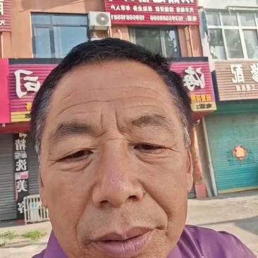 纯红薯粉面，假一赔十，安徽阜阳纯红薯粉面加工厂
