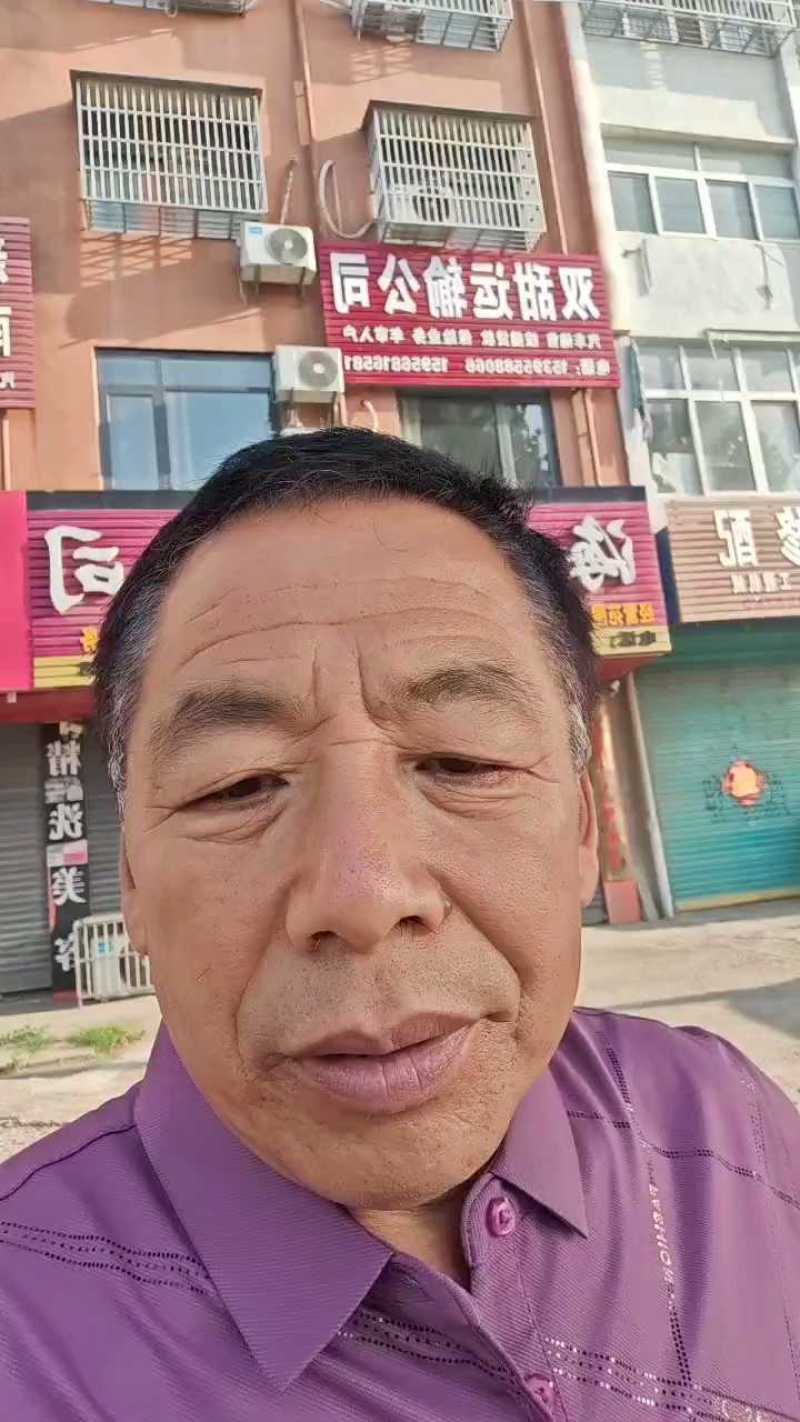 纯红薯粉面，假一赔十，安徽阜阳纯红薯粉面加工厂