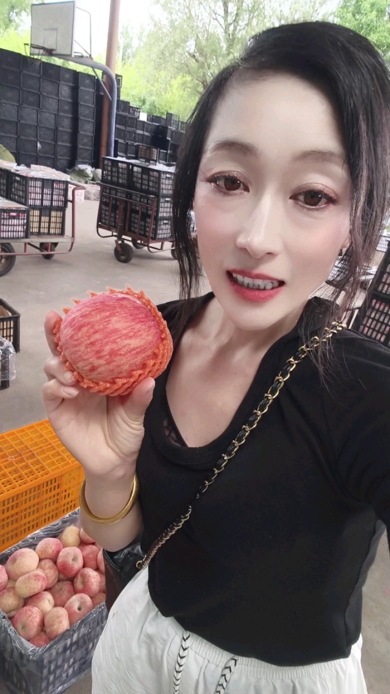 山东红富士苹果每天更新价格行情实地看货也可以视频看货