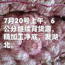 7月20号继续销货，精加工发湖北