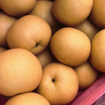 精品圆黄6两起，大量上市，6.8元