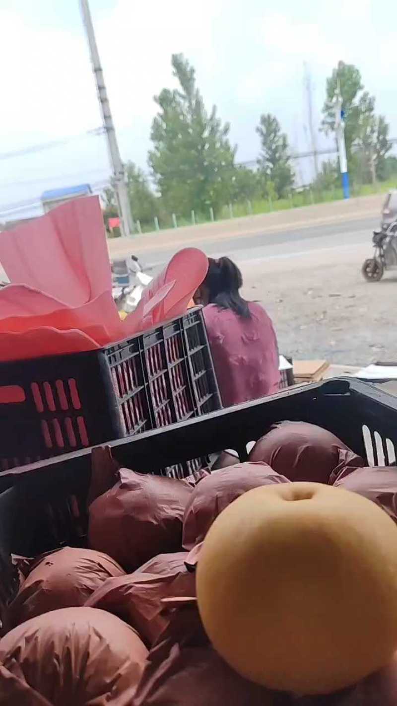 圆黄梨大量有货，质量好口感甜货源充足，产地直发