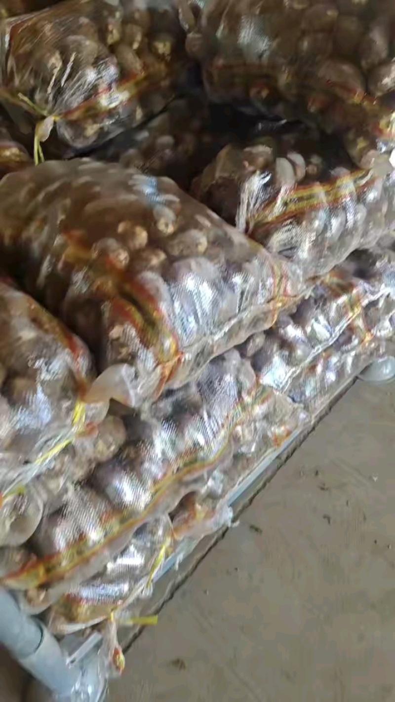 翻机货多规格，新鲜好货，全部现货