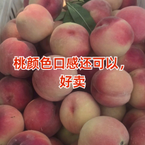精品水蜜桃系列品种齐全欢迎商超电商前来抢购