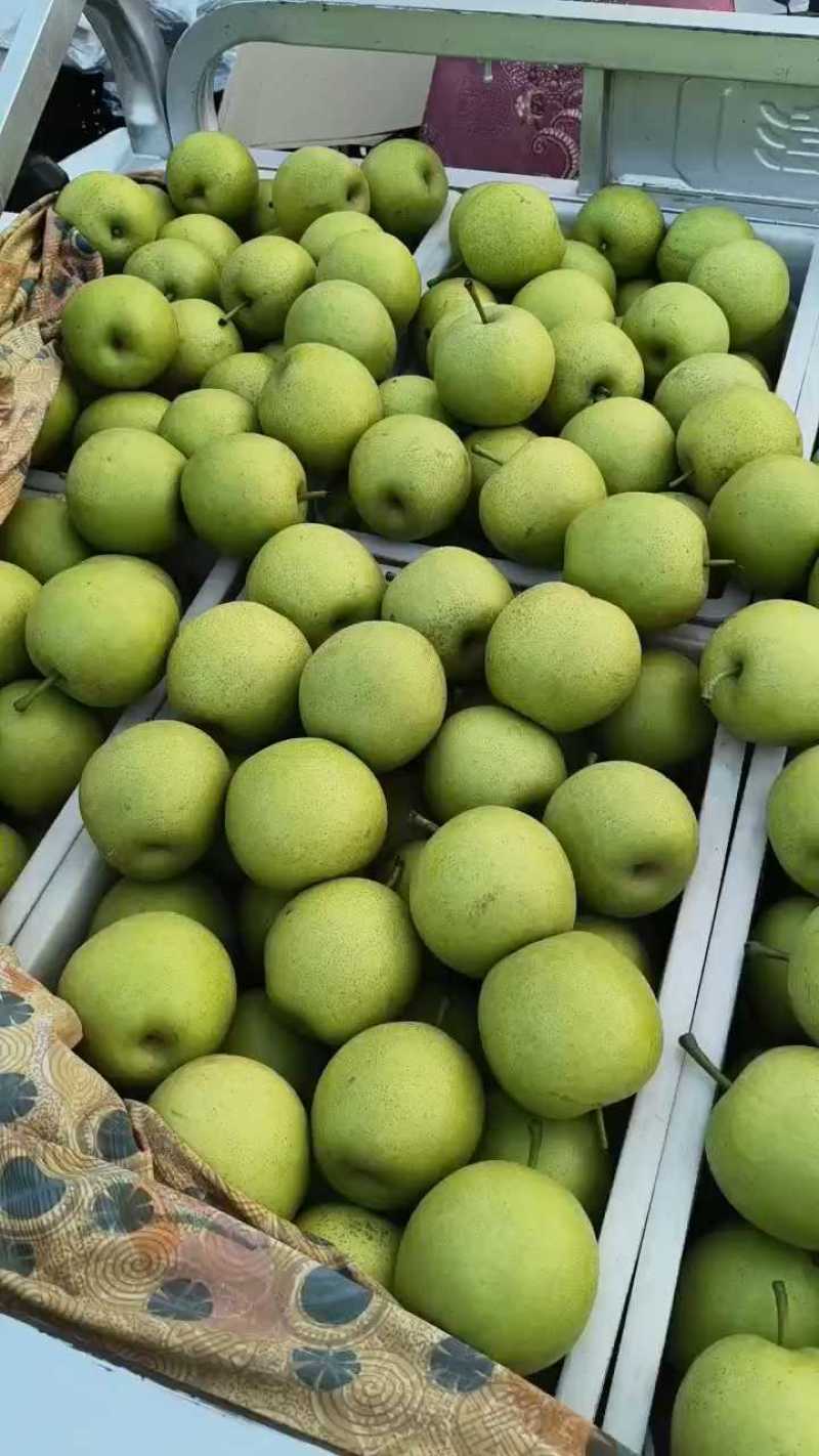 精品皇冠梨青皇冠梨对接电商市场商超可视频看货
