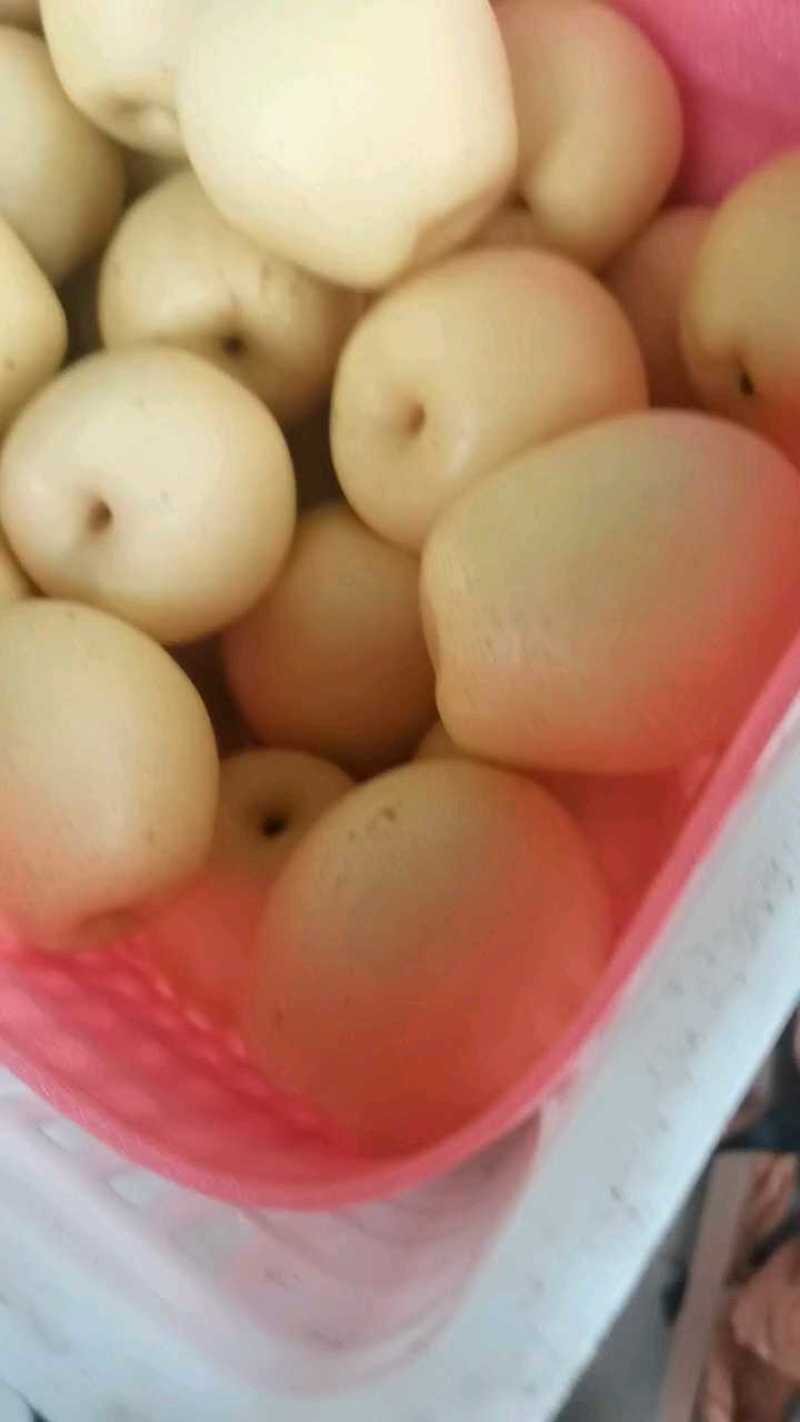 白皇冠6两起，1块到1块2，货源充足