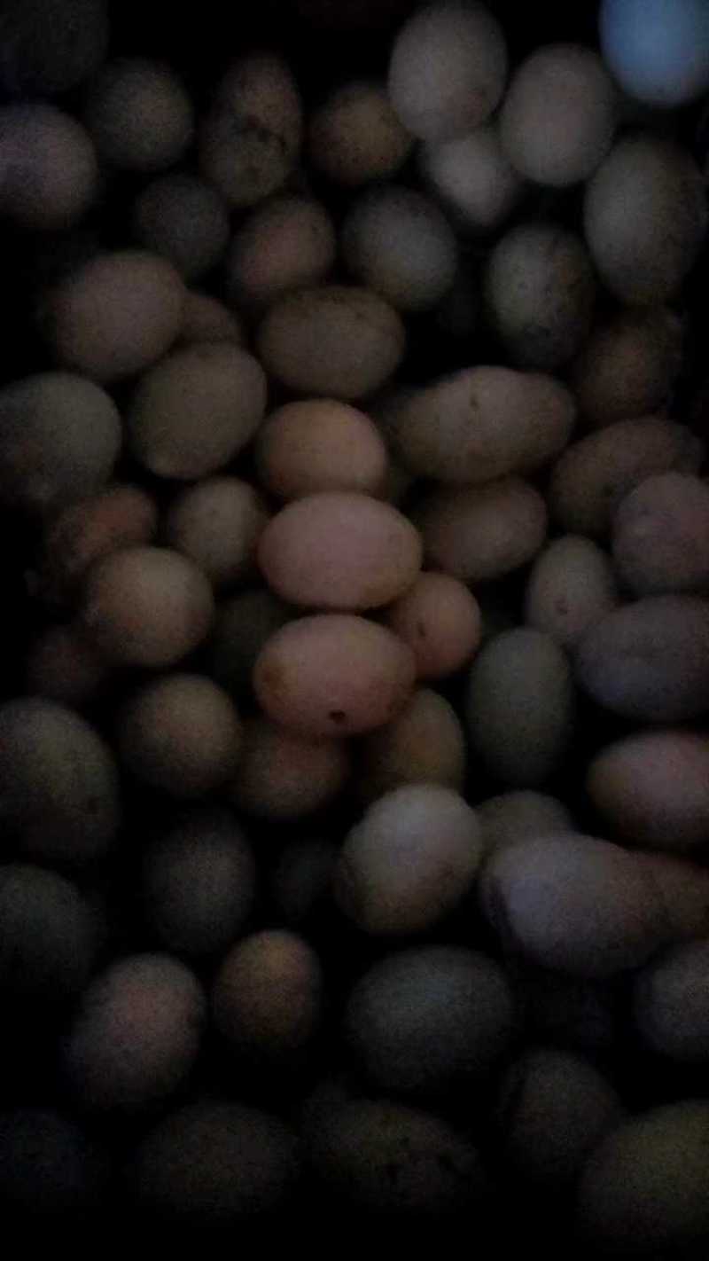 土鸭蛋黄心没有色素没有抗生素纯粮食喂养