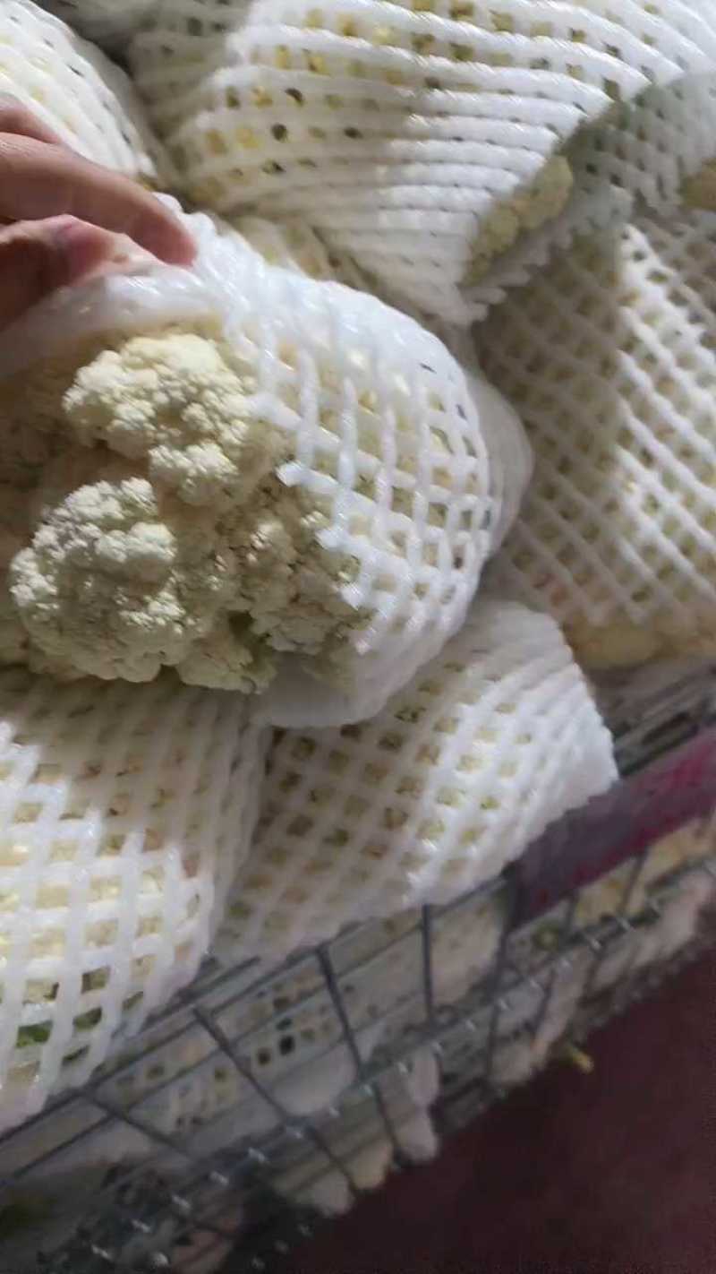 精品花菜大量供应中，面白根干净。可以散装打袋子，装泡沫