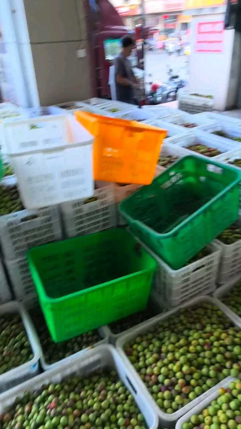 四川半边红李子，大量现货供应，脆甜多汁，保质保量视频看货
