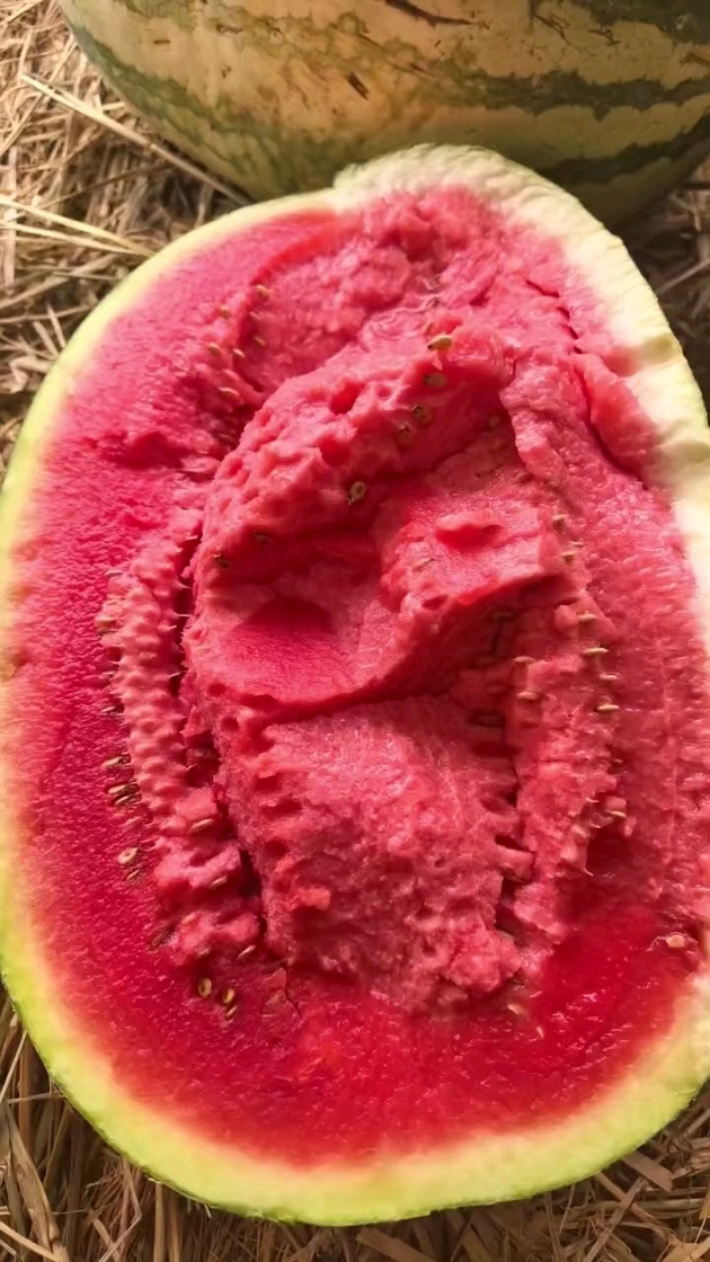熟度确实熟了，瓜品质好，货量充足
