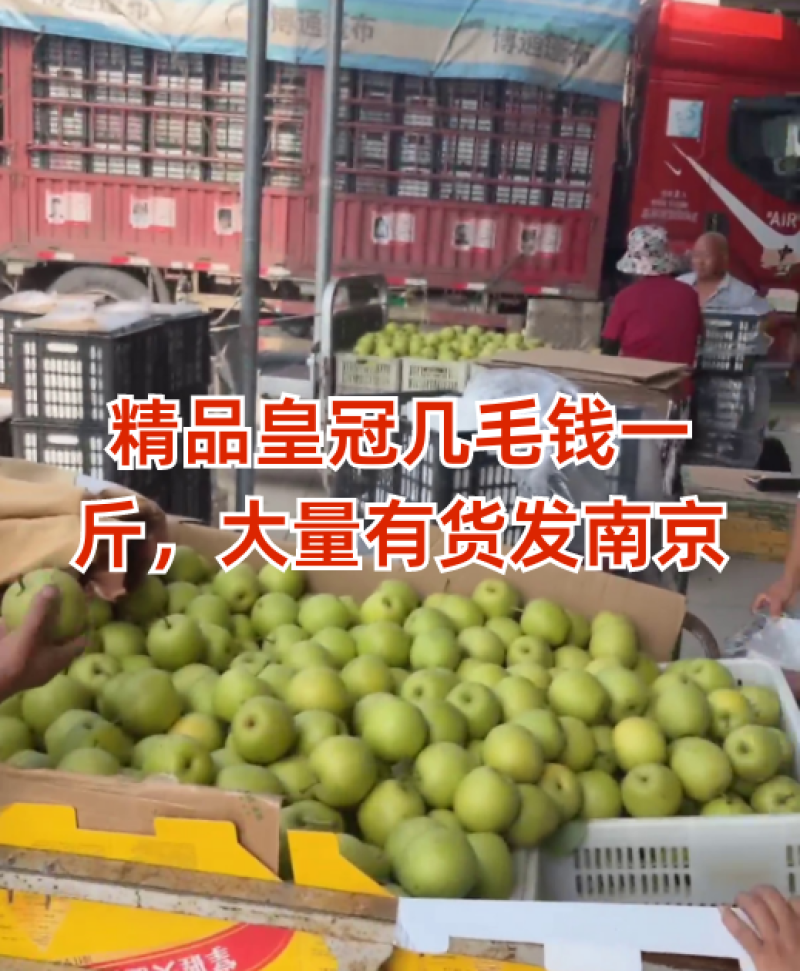 【推荐】皇冠梨翠甜精品优选现摘现发商超优选诚信经营