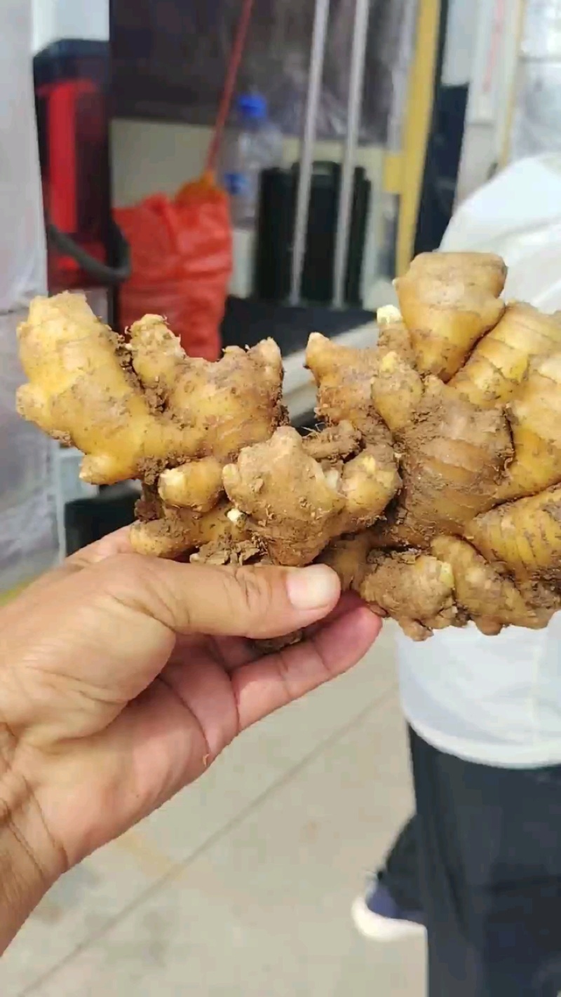 生姜