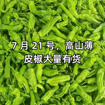 薄皮椒，青椒辣椒看货论价，价格美丽，欢迎新老客户订购。