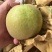 花皮翠冠梨大个头，货源充足正在装