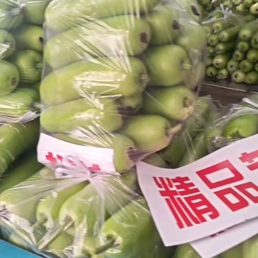 河北邯郸孤瓜大量上市，供应商超，食堂，市场，代发全国各地