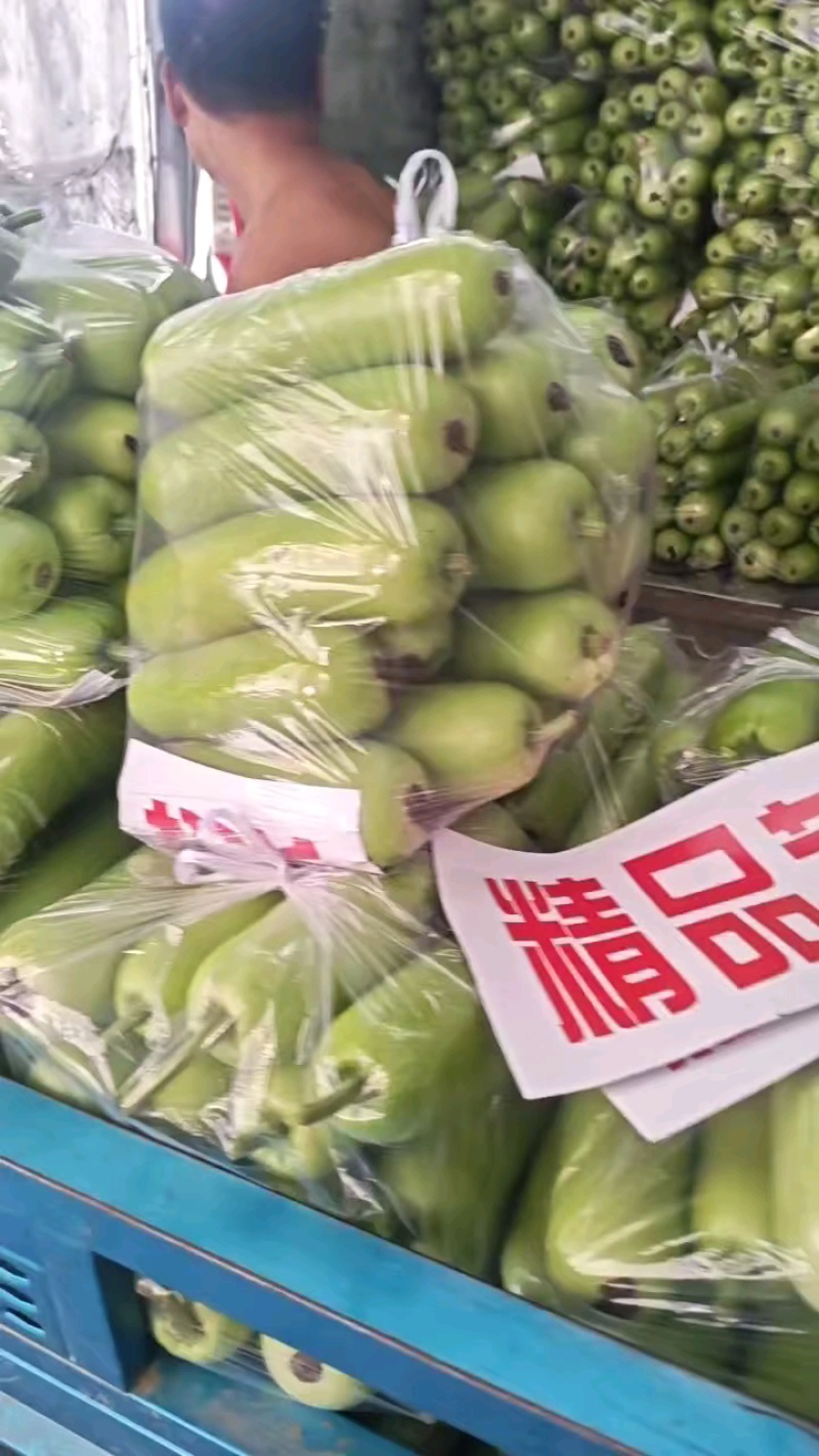 河北邯郸孤瓜大量上市，供应商超，食堂，市场，代发全国各地