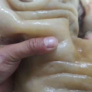 全去骨熟牛蹄刚煮，价格不高，老板联系